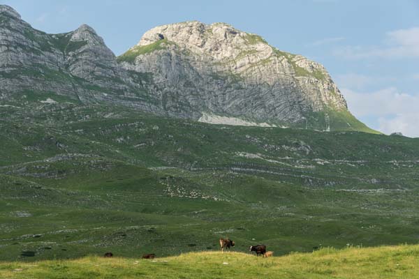 Filming locations for commercial shoot